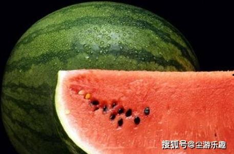 娱乐吃瓜酱西瓜